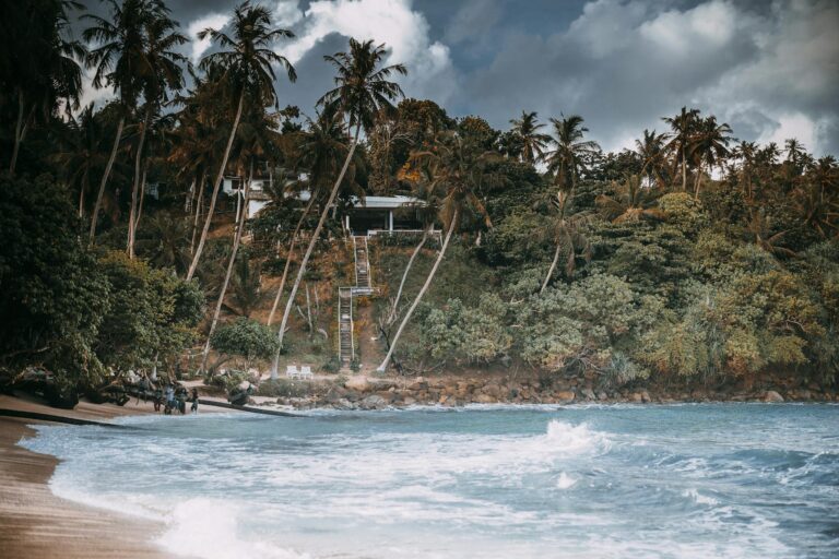Discover this stunning tropical beach in Sri Lanka featuring lush palm trees and tranquil ocean waves.