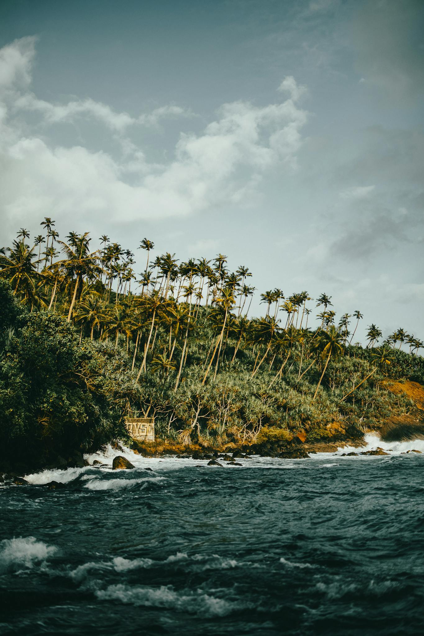 Stunning view of Sri Lanka's coastline with tall palm trees and ocean waves under a cloudy sky.